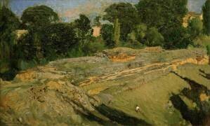 Near Segovia (Joaquin Sorolla y Bastida) - Muzeo.com