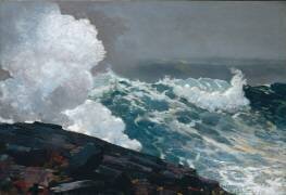 Northeaster (Winslow Homer) - Muzeo.com