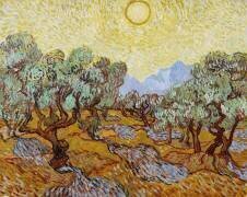 Olive Trees (Vincent van Gogh) - Muzeo.com