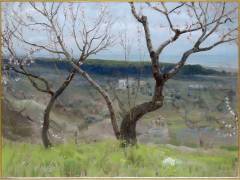 Paysage des Abruzzes (Francesco Paolo Michetti) - Muzeo.com