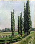 Poplars on the Riverbank at Argenteuil (Gustave Caillebotte) - Muzeo.com