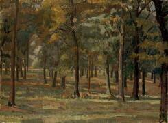 Richmond Park (Spencer Frederick Gore) - Muzeo.com
