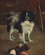 Tama (Edouard Manet) - Muzeo.com