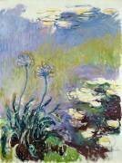 The Agapanthus (Claude Monet) - Muzeo.com