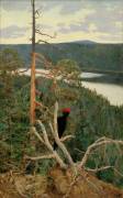 The great black woodpecker (Akseli Gallen-Kallela) - Muzeo.com