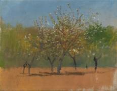 Trees in Blossom (Laszlo Mednyanszky) - Muzeo.com