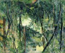 Undergrowth (Paul Cézanne) - Muzeo.com