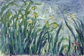 Yellow and Purple Irises (Claude Monet) - Muzeo.com