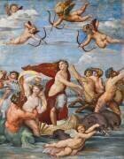 The Triumph of Galatea (Raffaello) - Muzeo.com