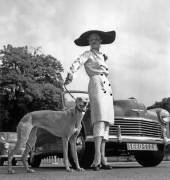 Concourse of Excellence in Paris (Rue des Archives) - Muzeo.com