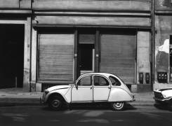 Deux chevaux (Karl-Ludwig Lange) - Muzeo.com