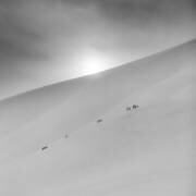 - 20 (Asmund Kvarnstrom) - Muzeo.com
