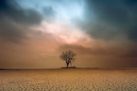 A loner (Piotr Krol (Bax)) - Muzeo.com