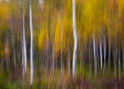 Abstract Fall (Andreas Christensen) - Muzeo.com