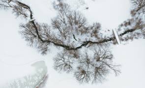 After snow (Wei (David) Dai) - Muzeo.com