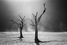 Afterlife (Fegari) - Muzeo.com