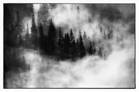 Agharta III (Jacek Stefan) - Muzeo.com