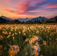 Alaska (Raimondo Restelli) - Muzeo.com