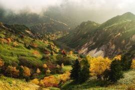Alpine autumn (Yuusuke Hisamitsu) - Muzeo.com