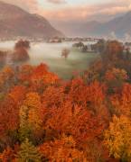 Autumn Frame (Ales Krivec) - Muzeo.com