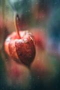 Autumn Impression (Ulrike Eisenmann) - Muzeo.com