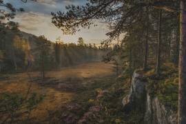 Autumn Mood (Sven Olav Vahlenkamp) - Muzeo.com