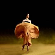 Ballerina dancer (Agus Adriana) - Muzeo.com