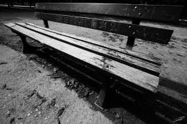 Banc ParisienNR (Jérôme Prince) - Muzeo.com