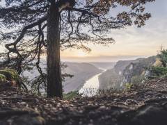 Basteiaussicht (Ronny Behnert) - Muzeo.com