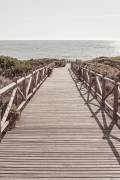 Beach 3 (1x Studio III) - Muzeo.com