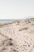 Beach 7 (1x Studio III) - Muzeo.com