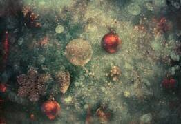 Believe... (Delphine Devos) - Muzeo.com