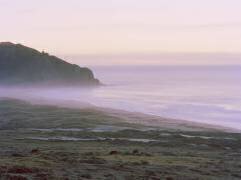 Big Sur (Carli Choi) - Muzeo.com