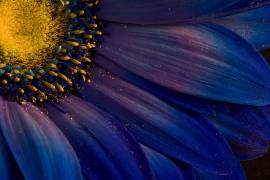 Blue Rays (Torsteinn H. Ingibergsson) - Muzeo.com