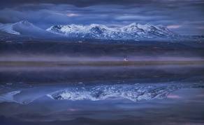 Blue silence (Peter Svoboda MQEP) - Muzeo.com