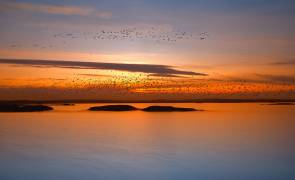 By sunset (Piotr Krol (Bax)) - Muzeo.com