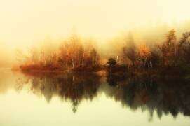 Classic mood (Anton van Dongen) - Muzeo.com