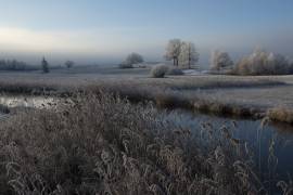 Cold (Nina Pauli) - Muzeo.com
