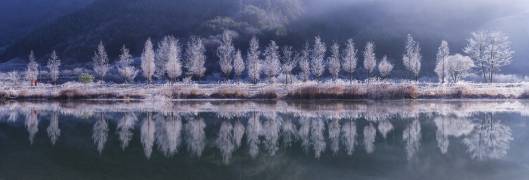 Cold morning (Tiger Seo) - Muzeo.com