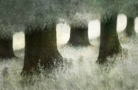 Connected (Nel Talen) - Muzeo.com