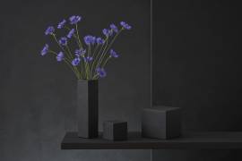 Cyanus Segetum (Christophe Verot) - Muzeo.com
