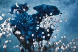 Dahlia (Mike Kreiten) - Muzeo.com