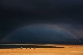 Dark moods (Swapnil) - Muzeo.com