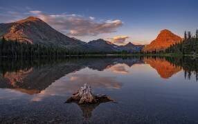 Delightful Dawn (Lydia Jacobs) - Muzeo.com