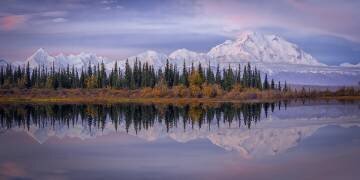 Denali Reflection (Michael Zheng) - Muzeo.com