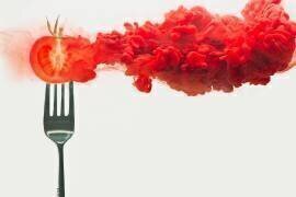 Disintegrated tomato (Dina Belenko) - Muzeo.com