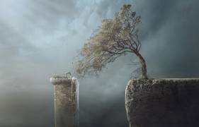 Drink Water (Sulaiman Almawash ) - Muzeo.com