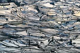 Earth Carpet (George Doupas) - Muzeo.com