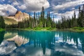 Emerald ... (Zoran Dujic LightHunter) - Muzeo.com