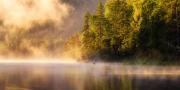 Enjoying Nature (Daniel Gastager) - Muzeo.com